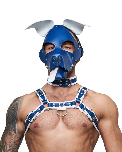 Mister B Leather Floppy Dog Hood Circuit – Blau-Weiß
