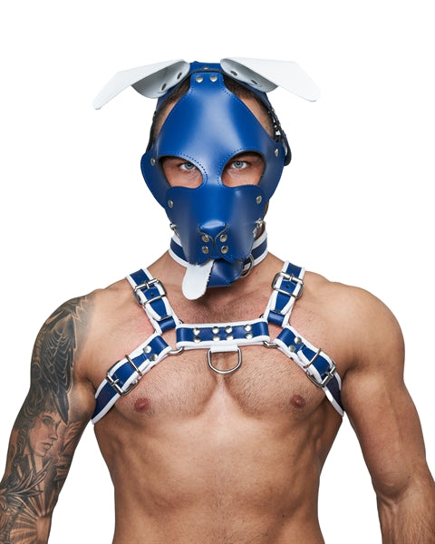 Mister B Leather Floppy Dog Hood Circuit – Blau-Weiß