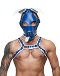 Mister B Leather Floppy Dog Hood Circuit – Blau-Weiß
