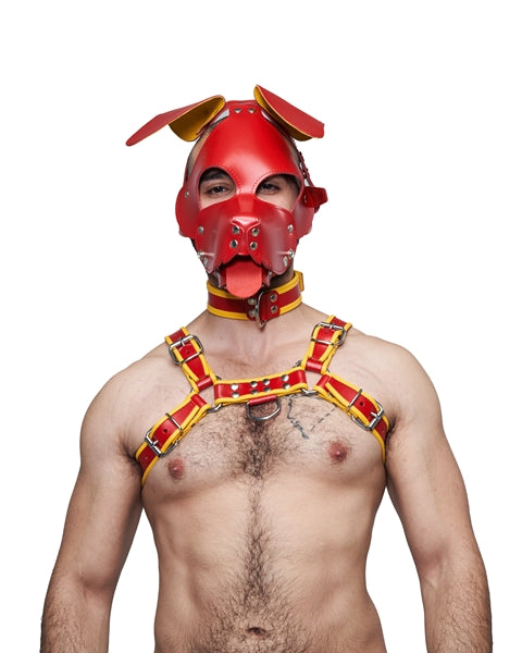 Mister B Leather Floppy Dog Hood Circuit – Rot-Gelb
