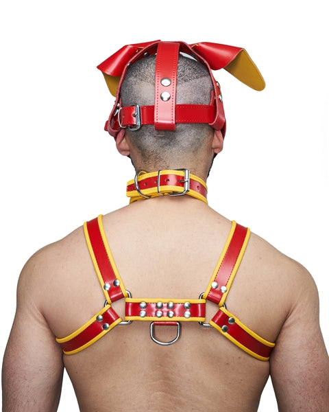 Mister B Leather Floppy Dog Hood Circuit – Rot-Gelb
