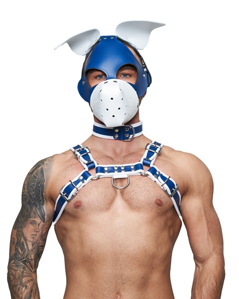 Mister B Leather Floppy Dog Hood Circuit – Blau-Weiß