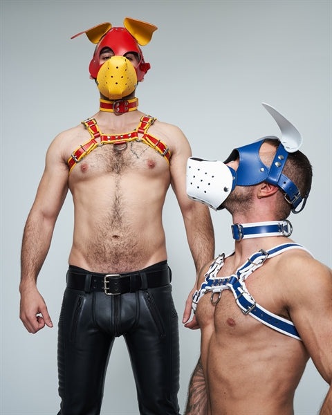 Mister B Leather Floppy Dog Hood Circuit – Rot-Gelb