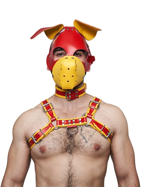 Mister B Leather Floppy Dog Hood Circuit – Rot-Gelb