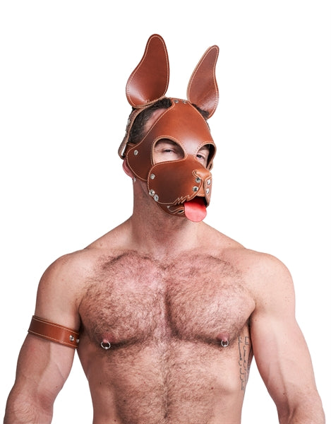 Mister B Leather Shaggy Dog Hood Stitched - Brown