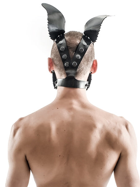 Mister B FETCH Rubber Dog Hood