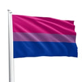Bi Pride Flag 90 x 150 cm