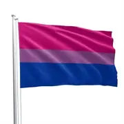 Bi Pride Flag 90 x 150 cm Rawr Cave