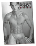 Pin-up Calendar Real Cocks 2027 ORION